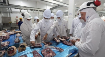 Goiás cria quase 15 mil novos empregos formais em janeiro
